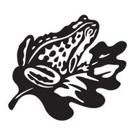 black frog - vector illustration