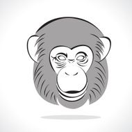 Monkey N43