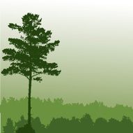 Pine Tree N7