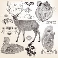Collection of vector animals and flourishes for design