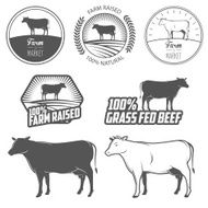 Set of premium beef labels badges and design elements