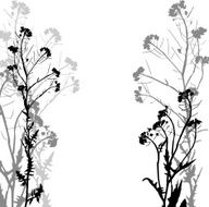 Silhouette of herbs and flowers N7