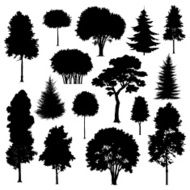 trees N30