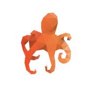 Octopus isolated on a white backgrounds