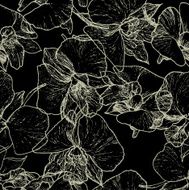 seamless vector pattern with flower of orchid black