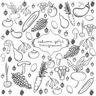 autumn gifts background N2