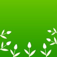 Green summer background with tulips