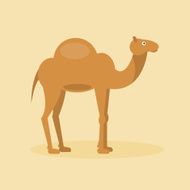 Arabian camel Vector Illustration