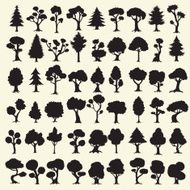 Black trees silhouettes collection