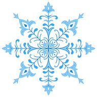 Snowflake N48