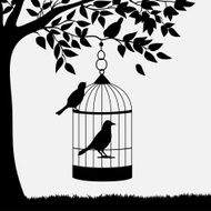 Bird cage with birds hanging from branch