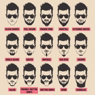illustration with men beard collection N2