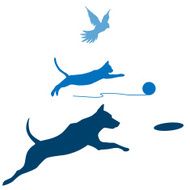 Dog Cat Bird Jump