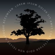 Tree in the landscape