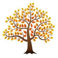 Autumn Tree N35