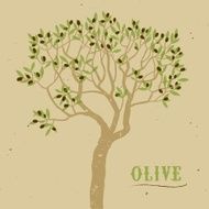 Olive tree on paper background logo