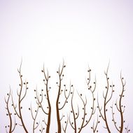 Tree branches Seasonal abstract background