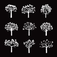 Set of White Trees and Black Background