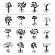Set of Black Trees and Roots N4