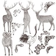 Collection of vector hand drawn animals