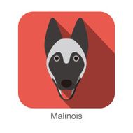 malinois dog face flat icon series