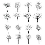 Trees with dead branch N106