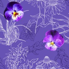 Seamless pattern with white contours plants and realistic pansy N2