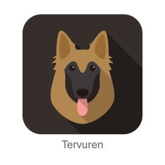 Tervuren dog face portrait flat icon design N2