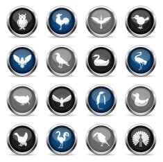 Supergloss Icons - Birds