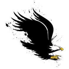 Eagle N14
