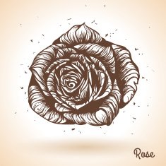 Hand drawn rose N5