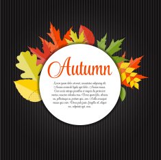 Shiny Autumn Natural Leaves Background Vector Illustration N44