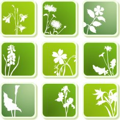 Flower Icons N7