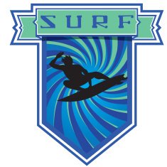 Surf emblem N2