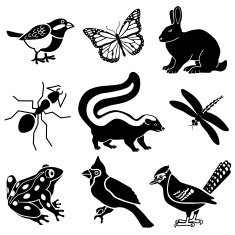 small woodland animals