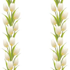 Tulip spring flowers bouquet for your card design