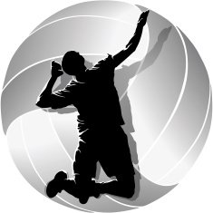 Male Volleyball Player