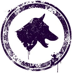 Dog N30