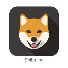 Shiba Inu dog face cartoon flat icon design