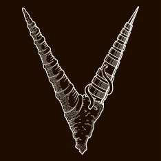 Steam-punk Horns N2