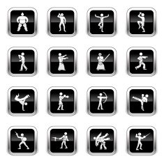 Supergloss Black Icons - Martial Arts