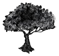 Very textured single tree