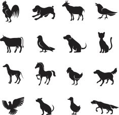 animal icon set N9