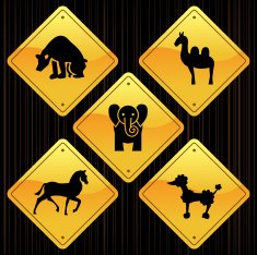 Yellow Signs - Animals N2