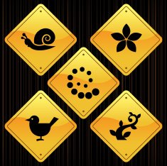 Yellow Signs - Nature