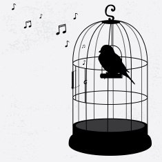 Sparrow in the cage
