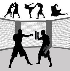 MMA N2