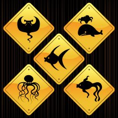 Yellow Signs - Fishes