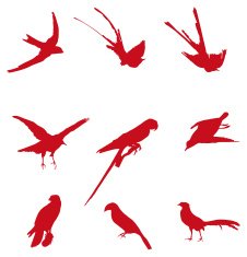 Cool birds to use in your design N2