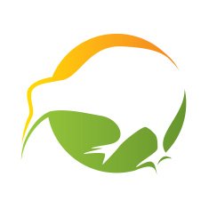 Kiwi bird icon